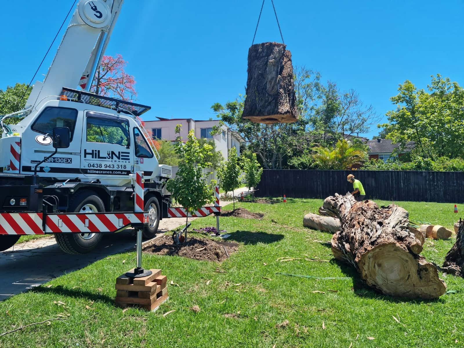 Stump removal result